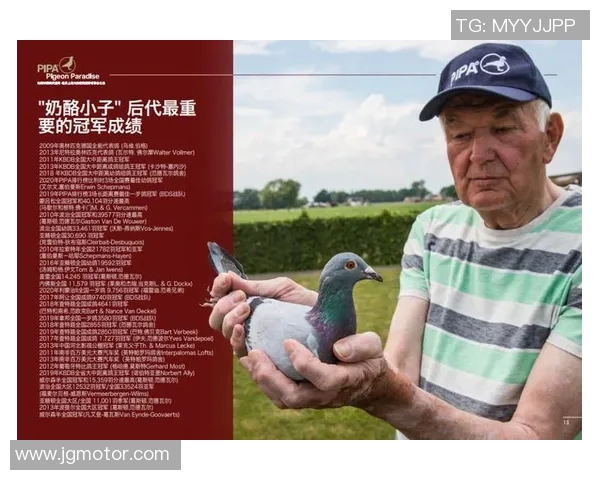 德国巴西71惨败背后的彩票故事与足球传奇的交织